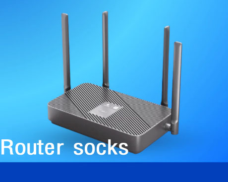 Router SOCKS